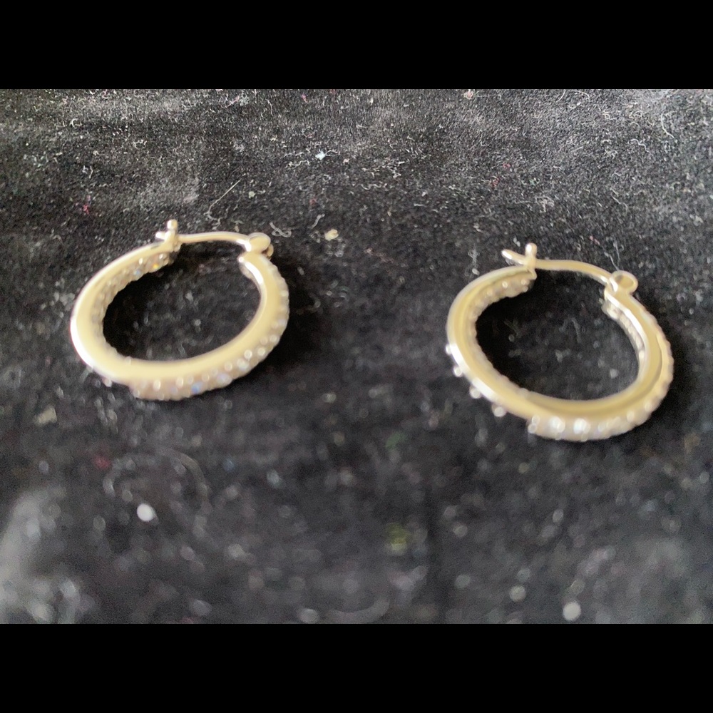 Sterling Silver Earring